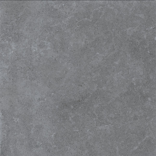 Gạch Viglacera Platinum PT 20-G6605