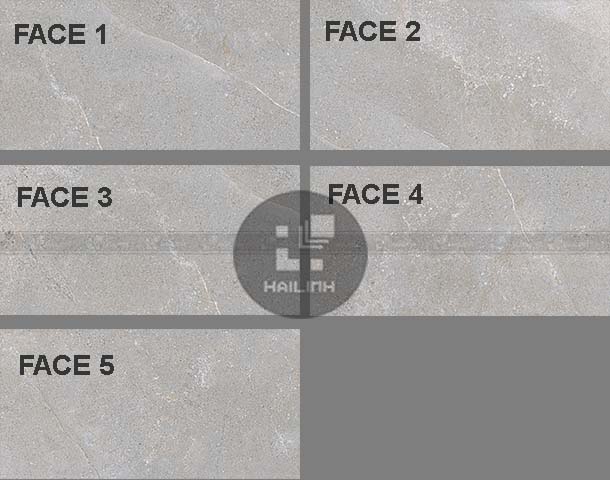 Face gạch Eurotile NGC I03