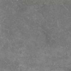Gạch Viglacera Platinum PT 20-G6603
