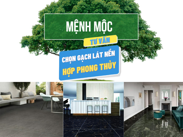 Chon gach cho nguoi menh moc