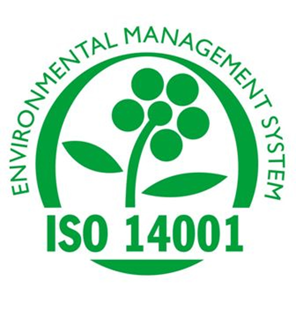 ISO 140012010