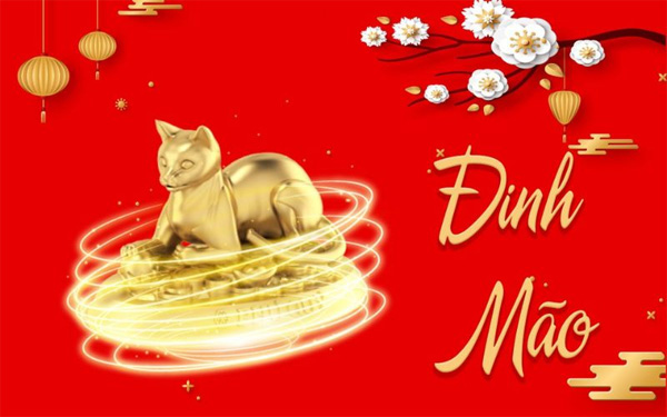 Chon gach lat nen tuoi dinh mao