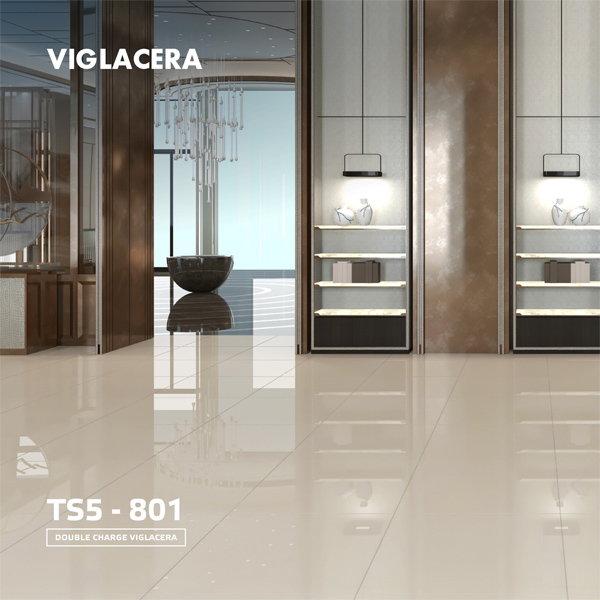 Gach Viglacera TS5 801 phong mau