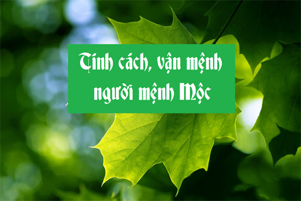 Tinh cach nguoi menh moc