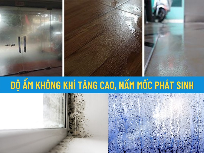 chống nồm cho gạch