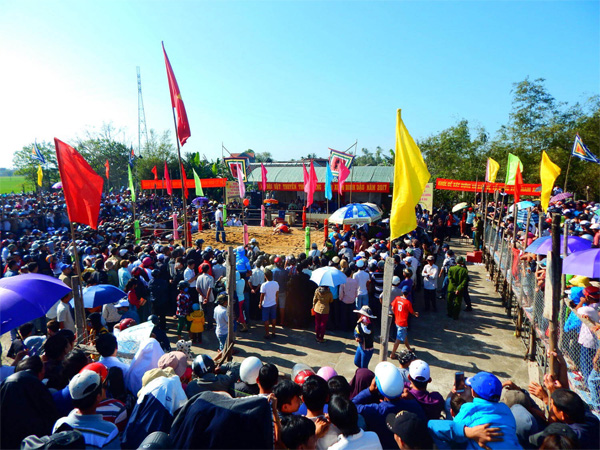 Canh le hoi lang sinh