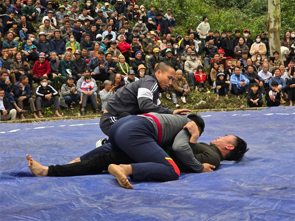 Canh vat trong le hoi