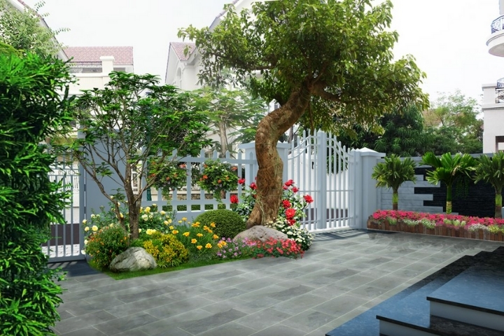 Cay xanh phong thuy