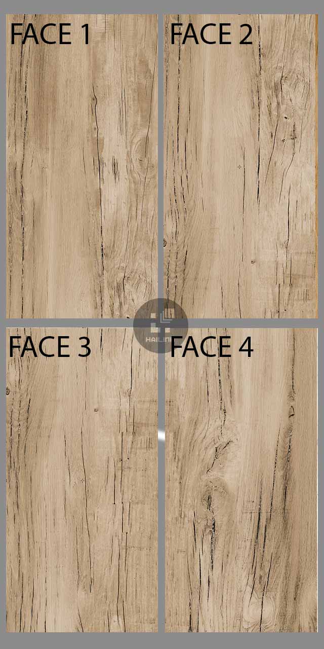 gach-eurotile-mol-i03