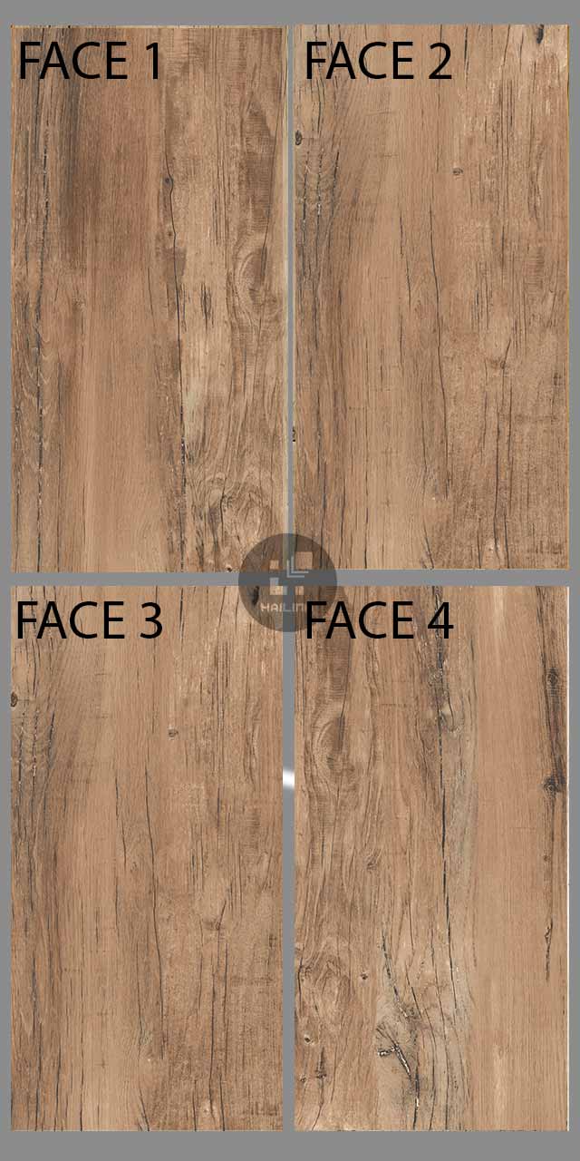 gach-eurotile-mol-i04