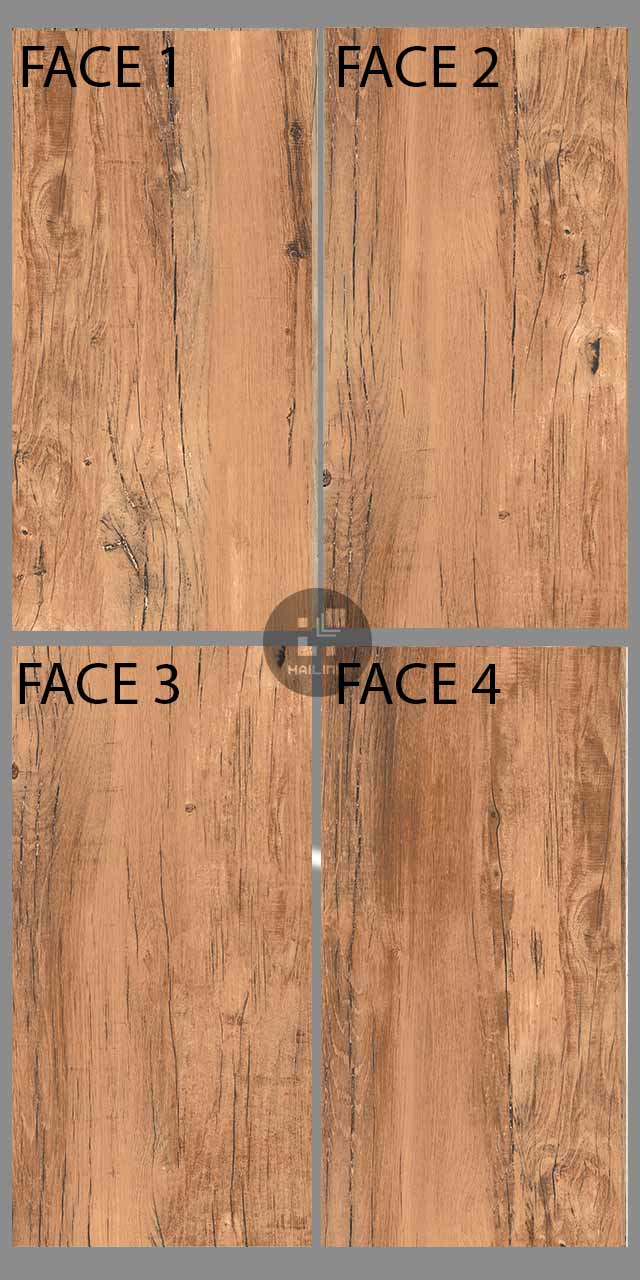 gach-eurotile-mol-i05