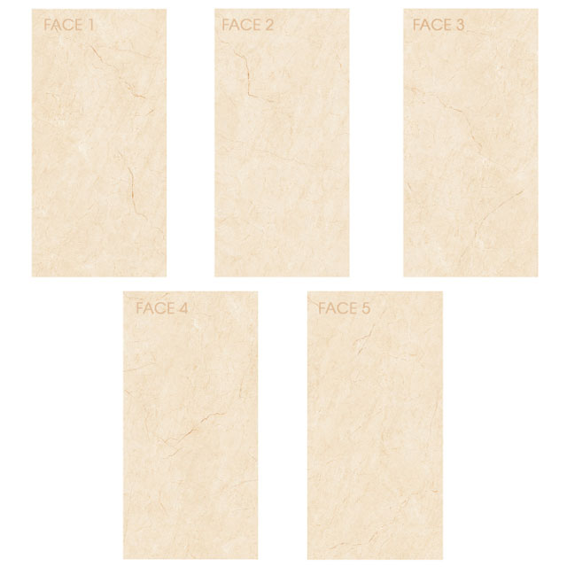 Face gach op lat Viglacera MD D61202