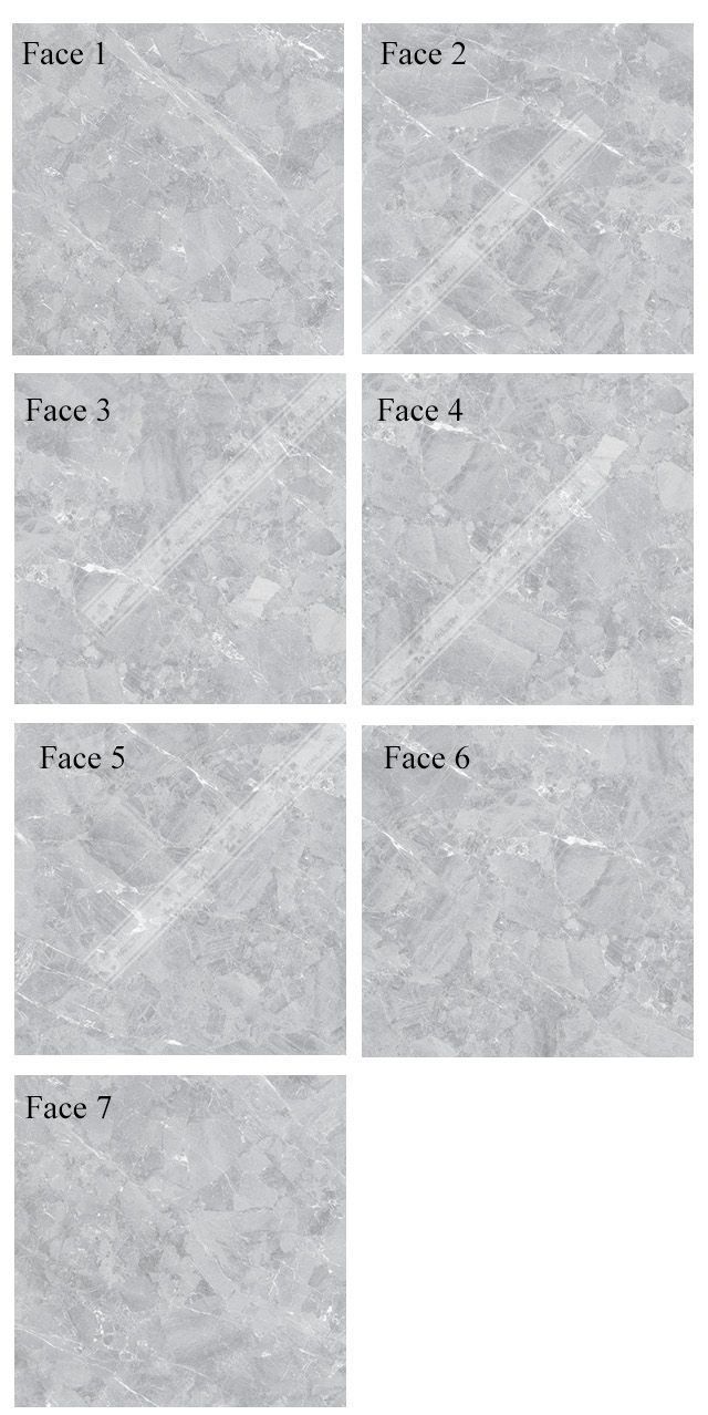 Face gạch lát nền Viglacera TB-809