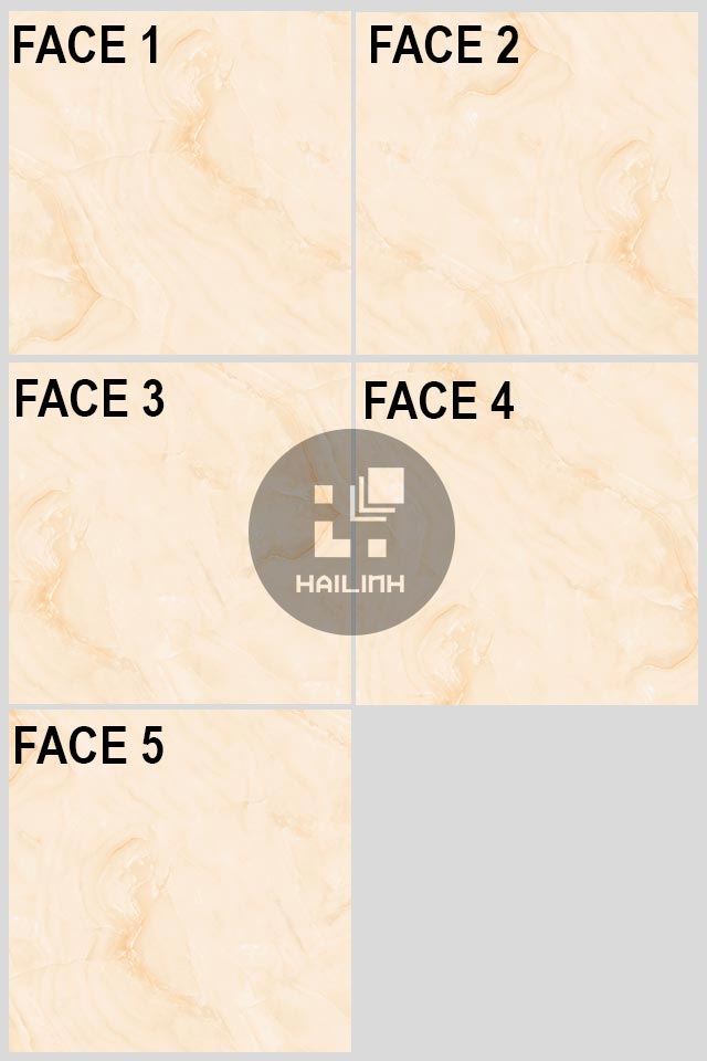 Gạch lát nền Viglacera TQ601 face-gach-lat-nen-viglacera-tq601