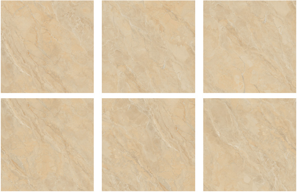 Face gach Viglacera SH-CP607
