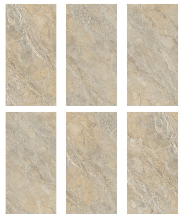 Face Gach Viglacera SH-GP61208