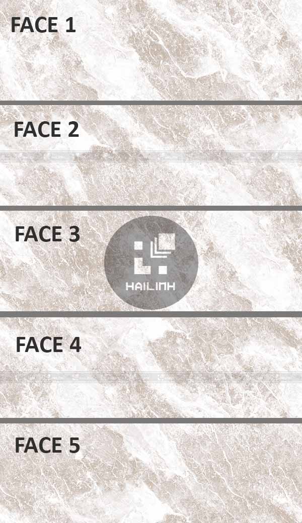 Face gạch Eurotile HOD D01