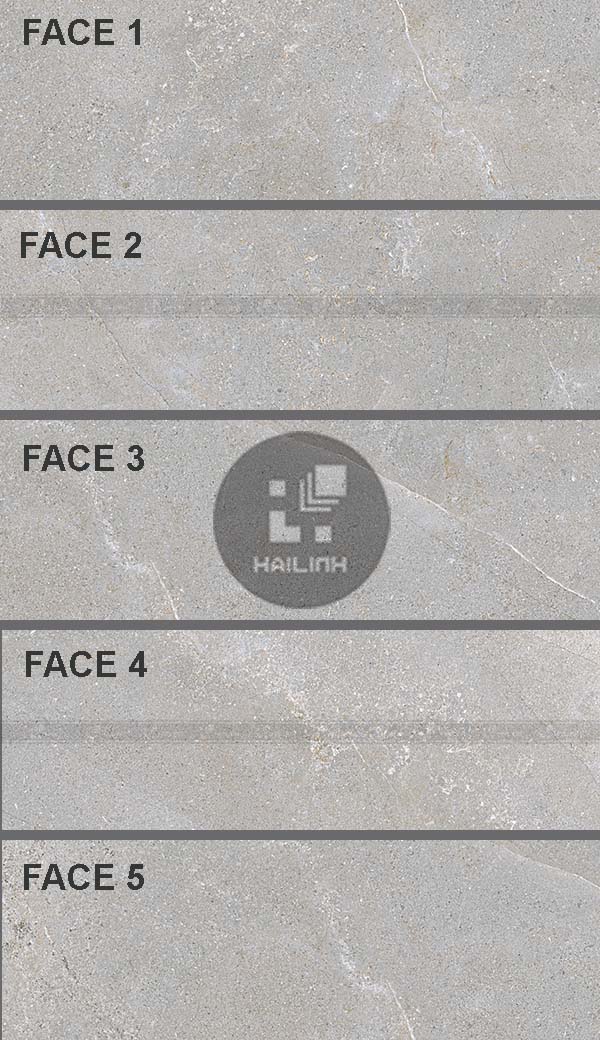 Face gạch Eurotile NGC D03