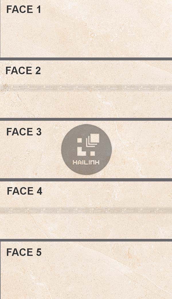 Face gạch Eurotile NGC D04