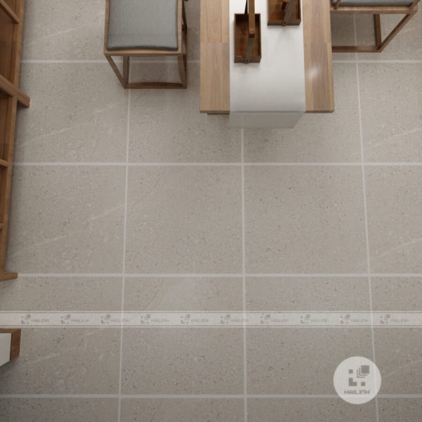 Gạch Eurotile NGC H02