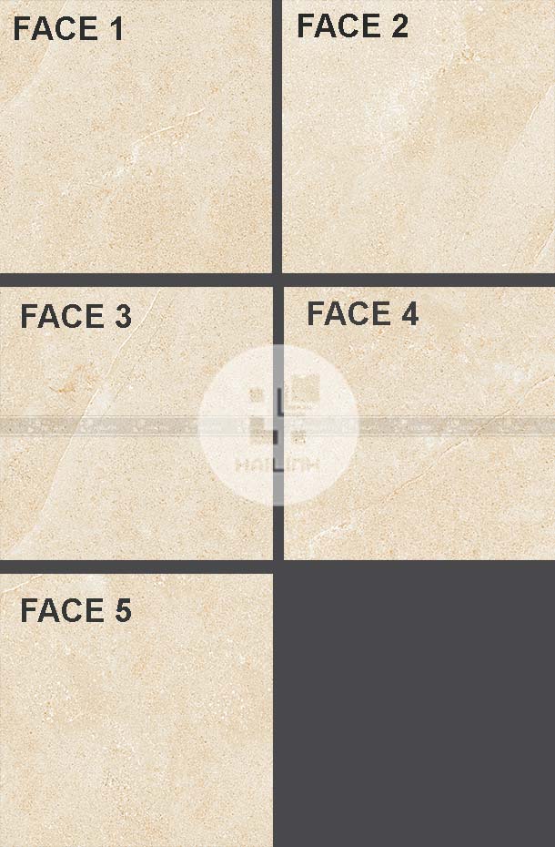 gach-eurotile-ngc-h04-2 Face gạch Eurotile NGC H04