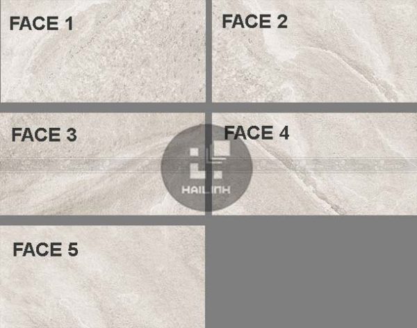 Face gạch Eurotile PHS G04