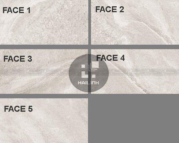 Face gạch Eurotile PHS G04