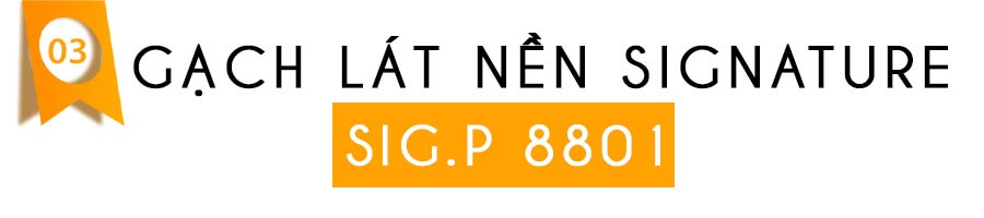 gach-lat-nen-duoc-ua-chuong