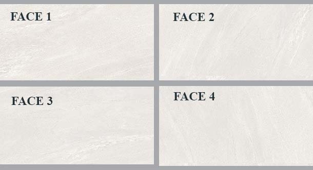 Face gạch ốp lát Viglacera PBS3641