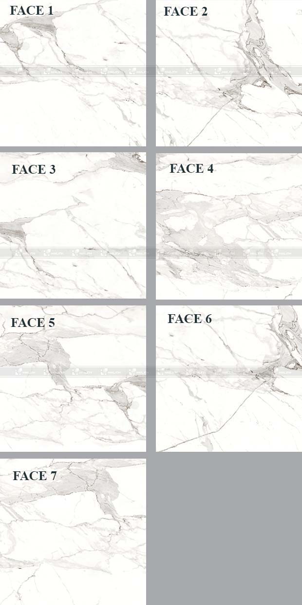 Face gạch ốp lát Signature SIG.P8809