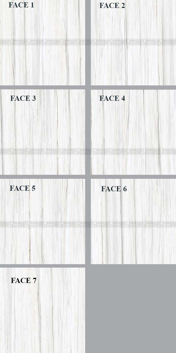 Face gạch lát nền SIG.P8810