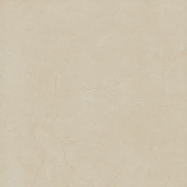 Gạch lát nền Viglacera B 6009