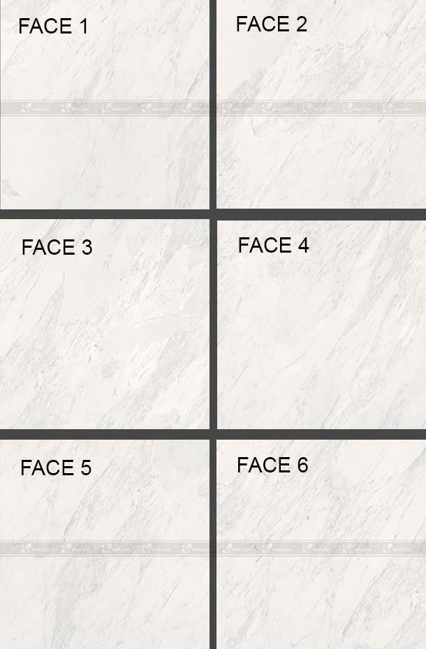 Face gạch lát nền Viglacera ECO-MT606