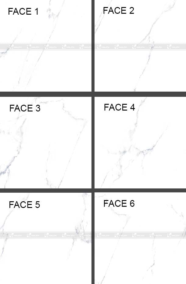Face gạch lát nền Viglacera ECO-T601