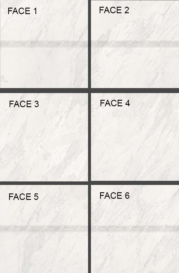 Face gạch lát nền Viglacera ECO-T602