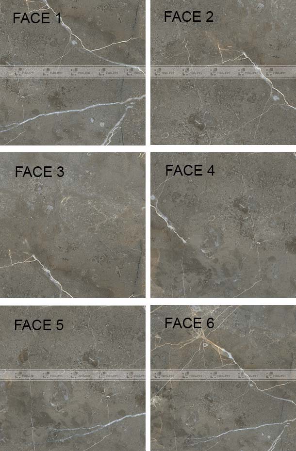 Face gạch lát nền Viglacera ECO-T604