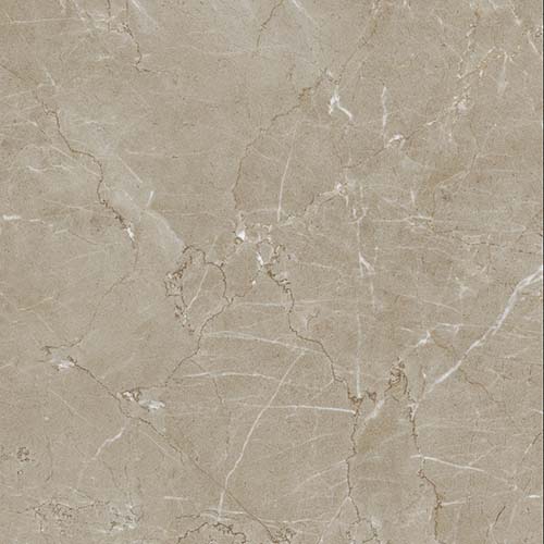 Gạch lát nền ViglaceraECOS 8809