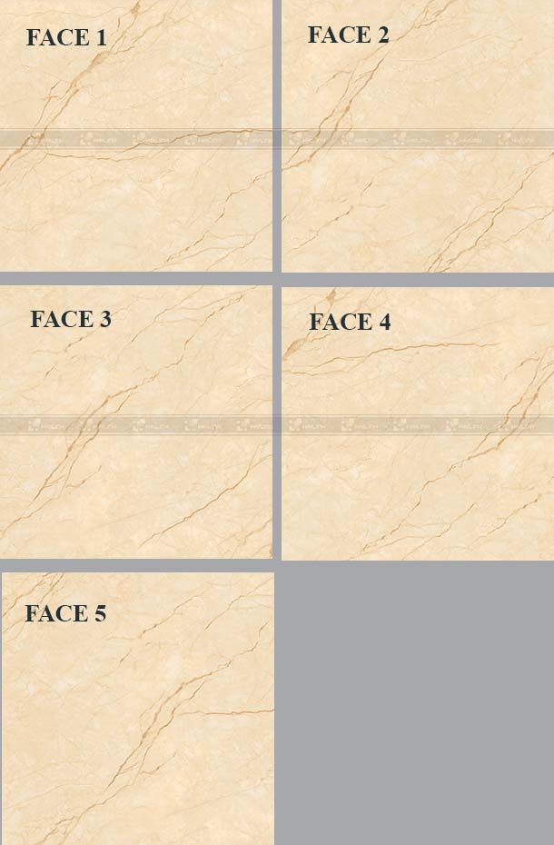 Face gạch lát nền Viglacera MDP 822