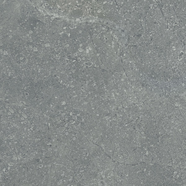 Gach viglacera sh302 f4