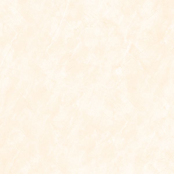 Gạch lát nền Viglacera TB 6703