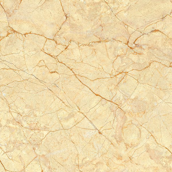 Gạch lát nền Viglacera TB856