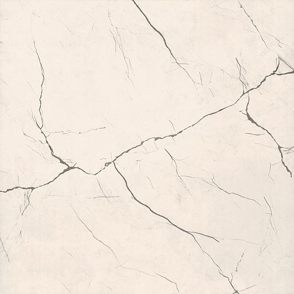 Gạch lát nền Viglacera TQ-808