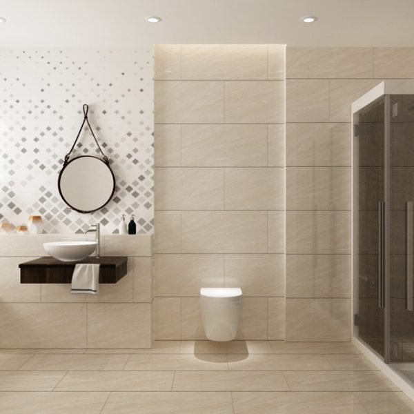 Gạch ốp lát Viglacera ECO 48501