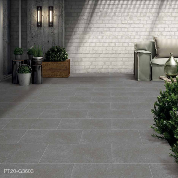 Gạch ốp lát Platinum PT20-G3603