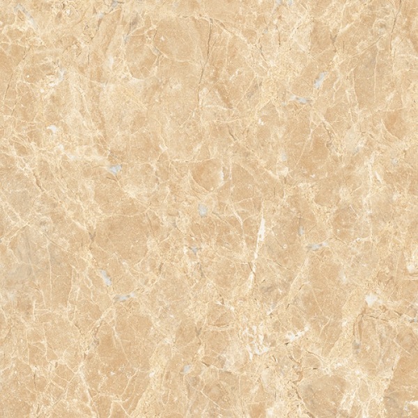 Gach Viglacera ECO S803