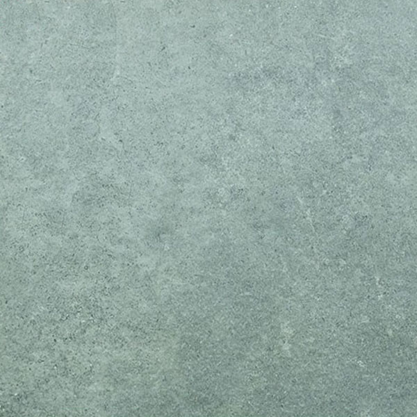 Gạch Viglacera Platinum PT 20-G603