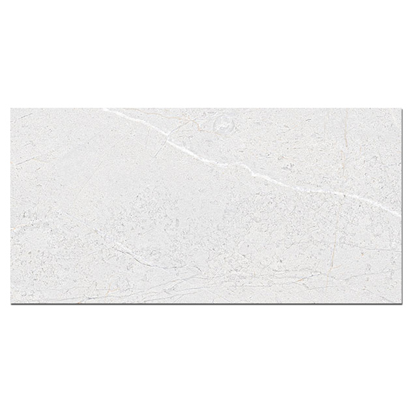 Gạch ốp lát Viglacera SH-GP4805
