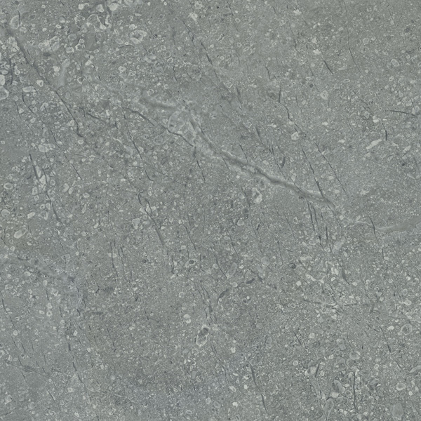 Gach viglacera sh302 f2