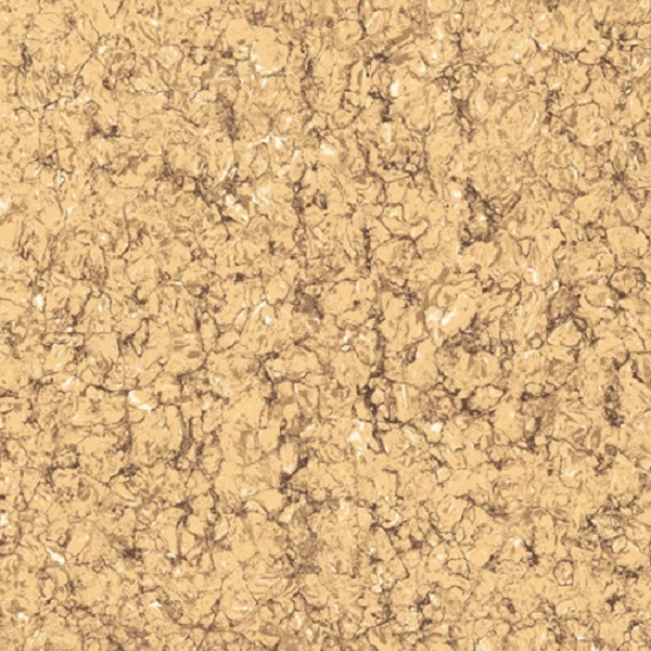 Gach lat nen Viglacera TS2-606