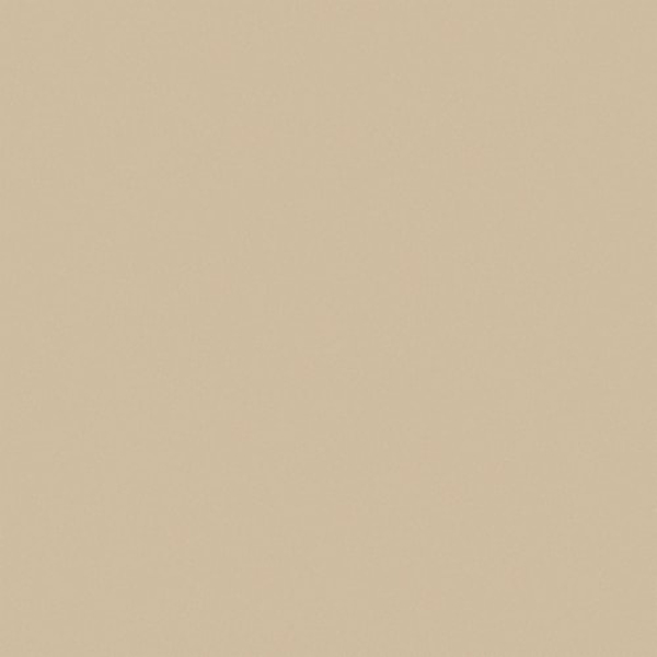 Gạch lát nền Viglacera TS5 602